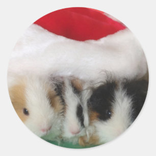 Etiquetas das cobaias do Natal dos miúdos