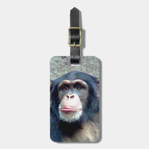 Etiquetas de Bagagem Chimpanzé