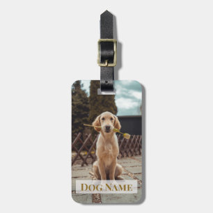 Etiquetas de Bagagem Personalizadas com Foto e Nom