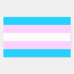 Etiquetas de bandeira do orgulho trans