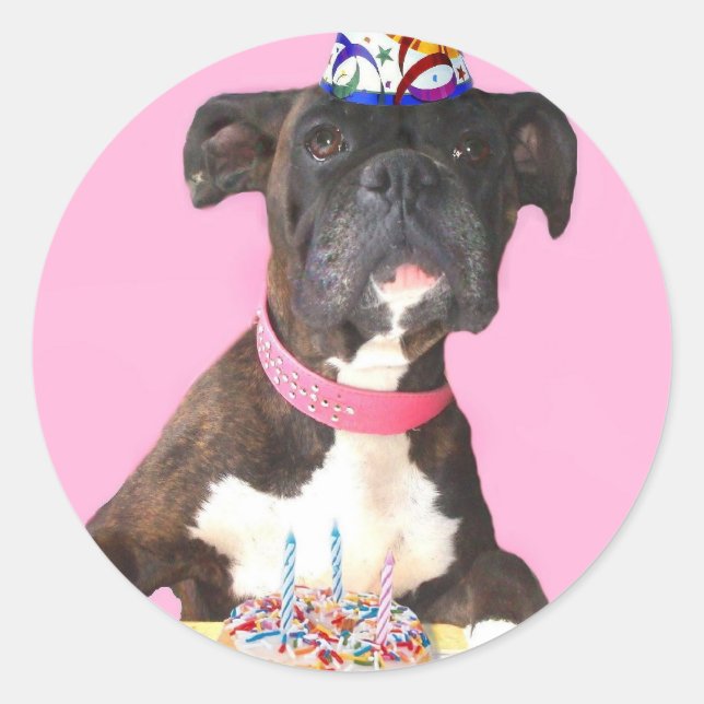 Etiquetas de caixa (Frente)