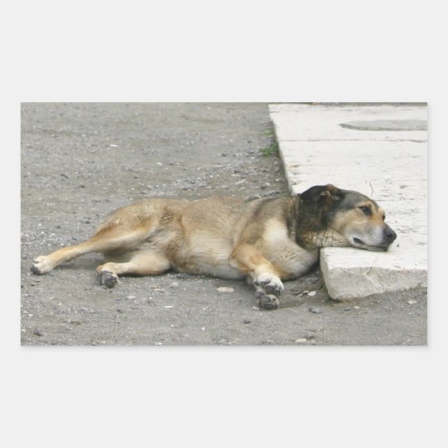 Etiquetas de Cão Cansado, personalizar (Frente)