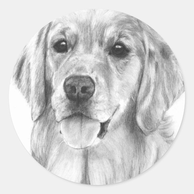 Etiquetas de Desenho do Retriever de ouro (Frente)