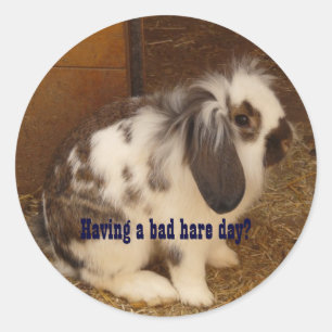 Etiquetas de Dia de Hare Mau