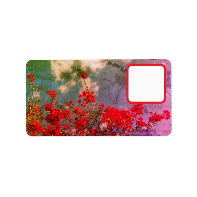 Etiquetas de Endereço (Frente)