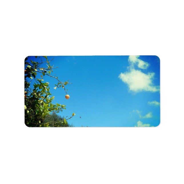 ETIQUETAS DE ENDEREÇO ART E DESIGN (Frente)