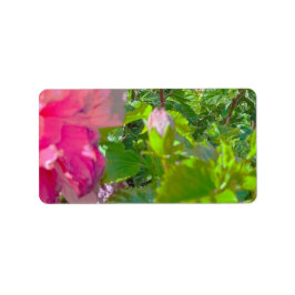 ETIQUETAS DE ENDEREÇO COOL ECO STYLE ESIGN