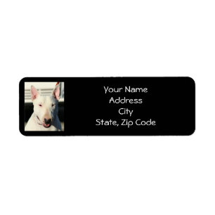 Etiquetas de endereço de bull terrier do inglês