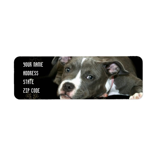 Etiquetas de endereço de cachorro azul-pitbull (Frente)
