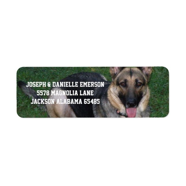 Etiquetas de Endereço de Cão german shepherd (Frente)