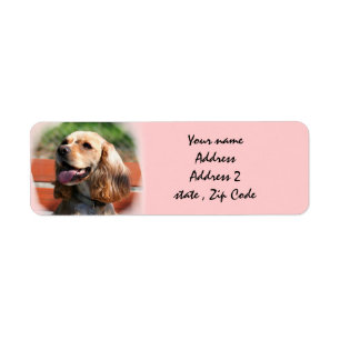 Etiquetas de endereço de cocker spaniel