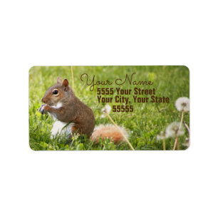 Etiquetas de Endereço de Devolução de Esquilo de B