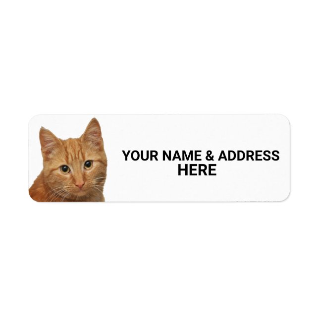 ETIQUETAS DE ENDEREÇO DE DEVOLUÇÃO DE GATO GINGER (Frente)