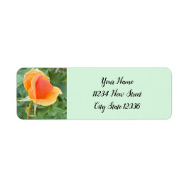 Etiquetas de Endereço de Retorno de Foto Rosebud