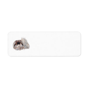 Etiquetas de Endereço de Retorno de Pekingese