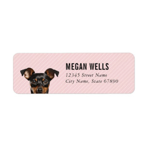 Etiquetas de Endereço de Retorno de Pinscher Minia