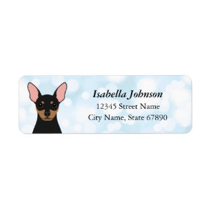 Etiquetas de Endereço de Retorno de Pinscher Minia