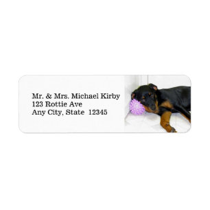 Etiquetas de Endereço de Retorno do Rottweiler co