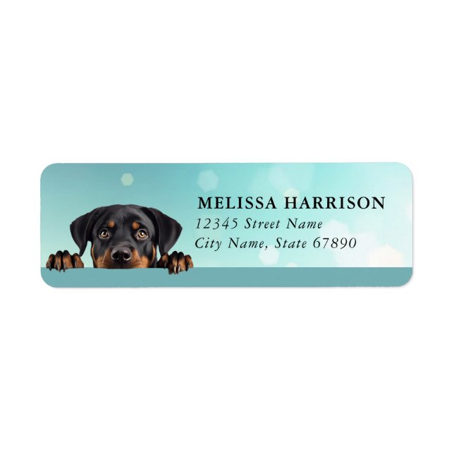Etiquetas de Endereço de Retorno Rottweiler (Frente)