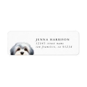 Etiquetas de Endereço de Retorno Shih Tzu