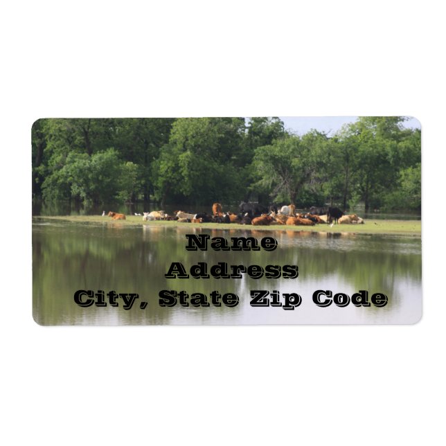 Etiquetas de Endereço de Vaca (Frente)