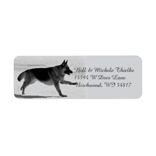 Etiquetas de endereço do german shepherd