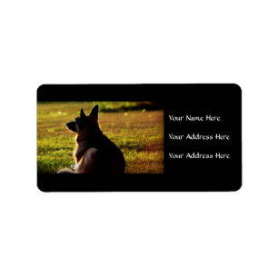 Etiquetas de endereço do german shepherd
