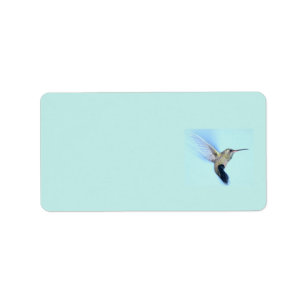 etiquetas de endereço do remetente do colibri