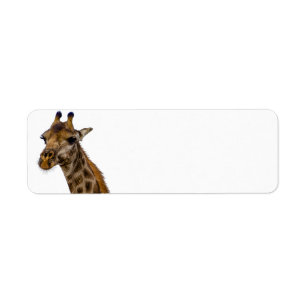 Etiquetas de endereço do remetente do girafa