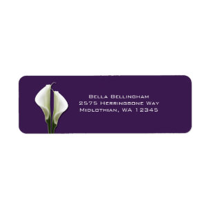 Etiquetas de endereço dos lírios de Calla