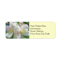 Etiquetas de Endereço Personalizadas Flor de Maçã 