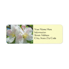 Etiquetas de Endereço Personalizadas Flor de Maçã 