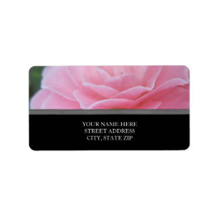 Etiquetas de endereço rosa rosa rosa
