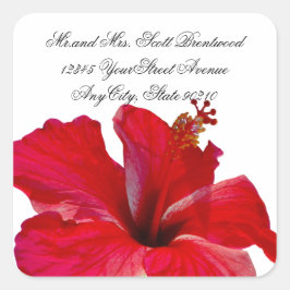Etiquetas de endereço Tropical Red Hibiscus
