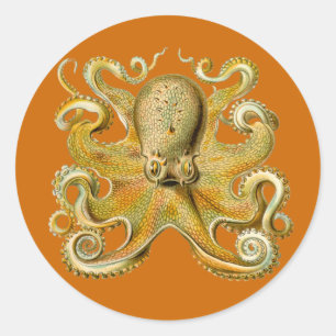 Etiquetas de Gamochonia