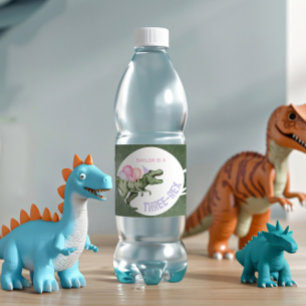 Etiquetas de Garrafa de Dinossauro Editável