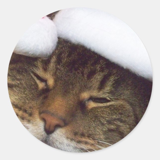Etiquetas de gatinho de Natal (Frente)