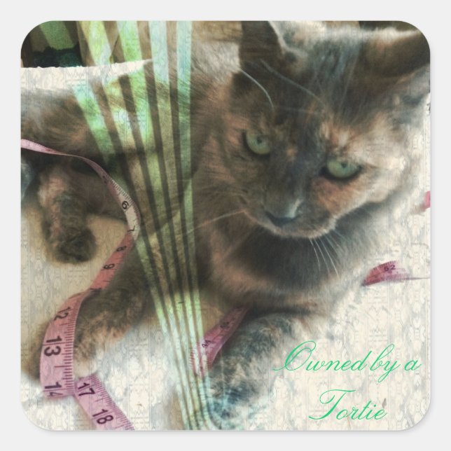 Etiquetas de gato (Frente)