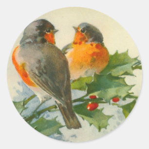 Etiquetas de Impressão de Cartão-postal de Aves Do