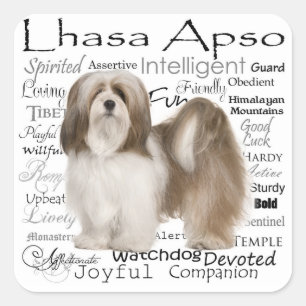 Etiquetas de Lhasa Apso