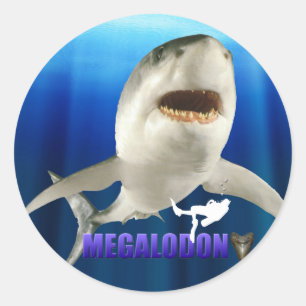 Etiquetas de Megalodon