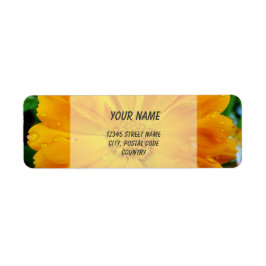 etiquetas de morada de margarida laranja gerbera