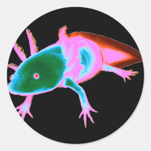 Etiquetas de néon do Axolotl