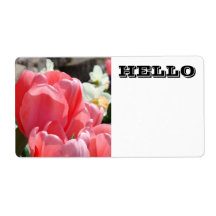 Etiquetas de Nome HELLO Flores de Tulipa Rosa