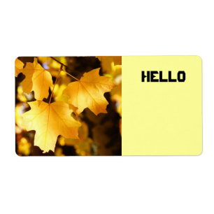 Etiquetas de Nome HELLO personalizadas Folhas de O