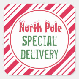 Etiquetas de Presente de Entrega Especial do Polo 