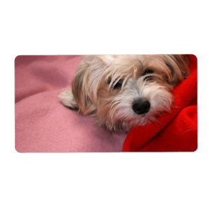 Etiquetas de presentes de Natal felizes