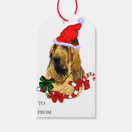 Etiquetas de presentes de Natal para galgos