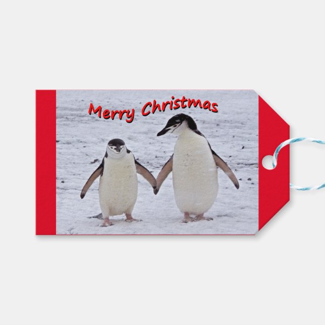 Etiquetas de presentes para os Pinguins (Frente (horizontal))