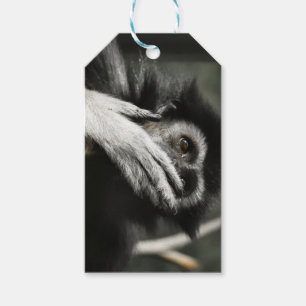 Etiquetas de presentes personalizadas de macacos c